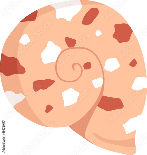 Sea Shell Colored Illustration