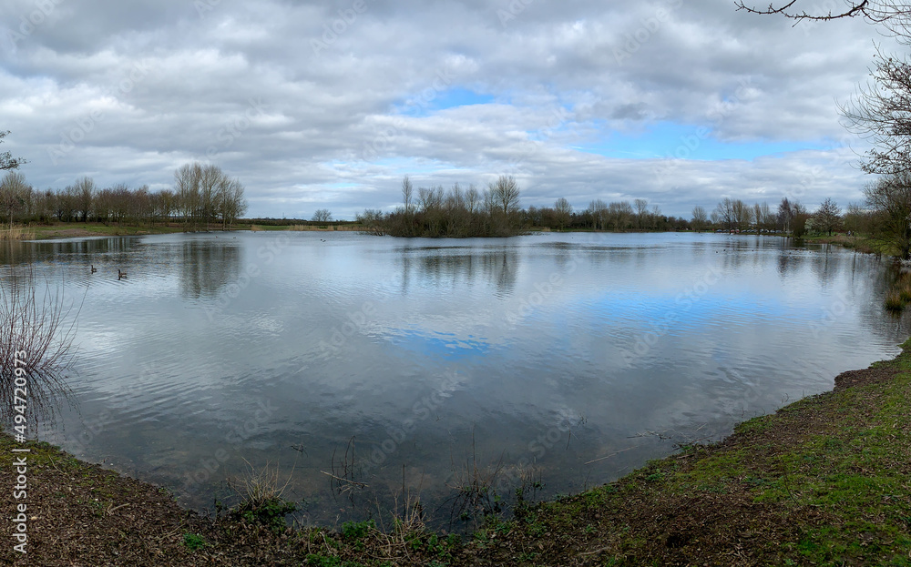 Fototapeta premium reflection of trees in water