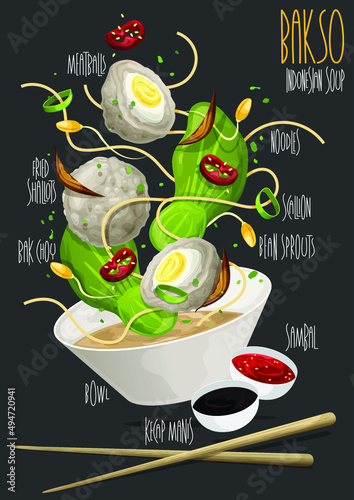 Bakso, Indonesian Famous Meatballs served with noodles. Vector illustraton