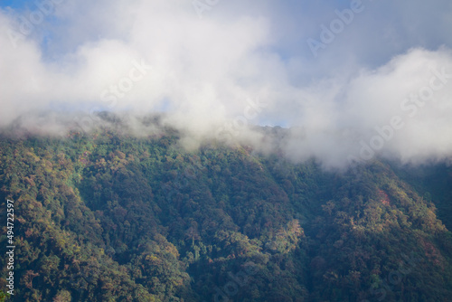 Mountain view in the rainforest