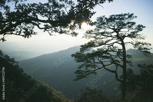 Mountain view in the rainforest