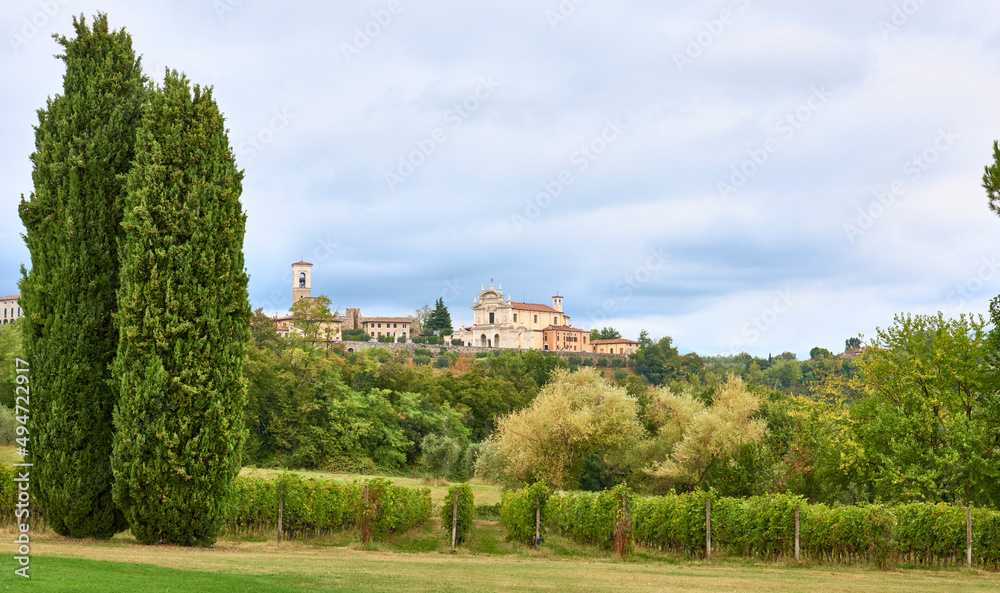 Rows of vines with bunches of ripe grapes in autumn, near Lake Garda, in the province of Brescia. In the background, the church of Santa Maria in Polpenazze del Garda.