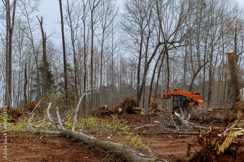 New development tractor working the clearing land on forest property clearing big tree