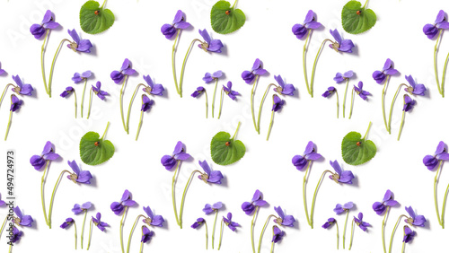 Flower patern. Amazing pattern of violet and green leaves on a white background.