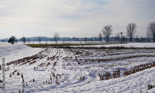 landscape with snow and trees