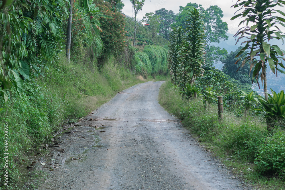 dirt road (trocha) on top of a Colombian mountain in the coffee region, surrounded by nature and coffee plantations.