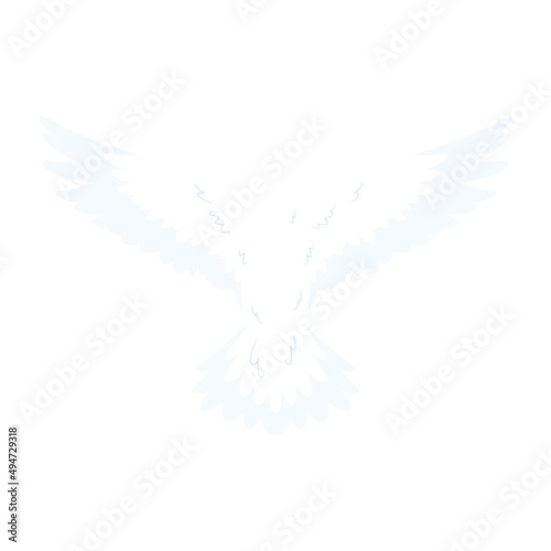 Isolated white flying pigeon animal Vector