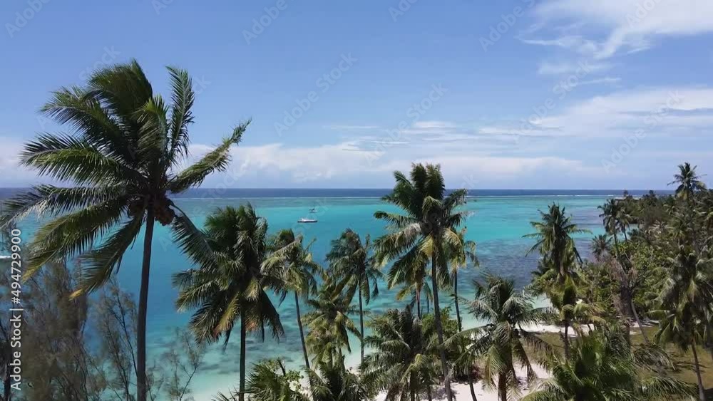 Tropical paradise with palm trees and azure ocean in Tahiti French Polynesia, 4k aerial drone shot Tropical paradise with palm trees and azure ocean in Tahiti French Polynesia, 4k aerial drone shot