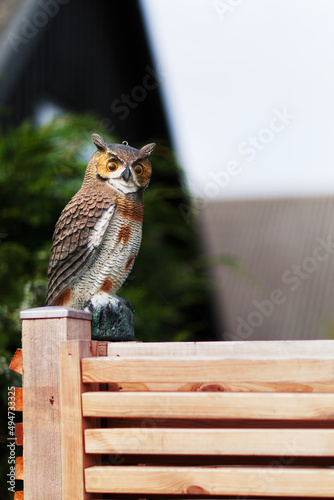 Plastic owl
