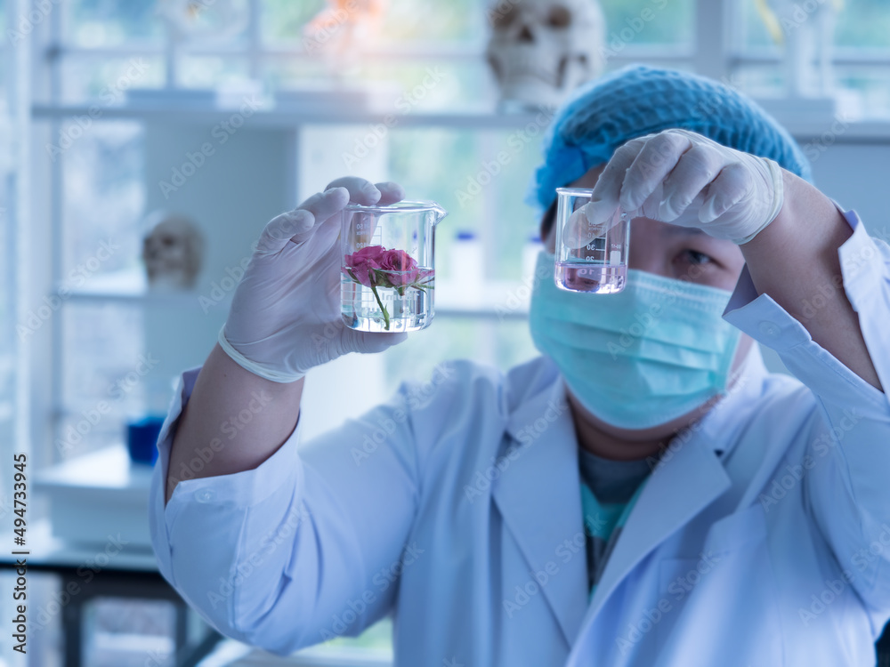 Selective focus, two small beakers in scientist's hand, one with flower and the other with essencial oil. Asian scientist study the liquid formula in the laborary. Selective focus, two small beakers in scientist's hand, one with flower and the other with essencial oil. Asian scientist study the liquid formula in the laborary.
