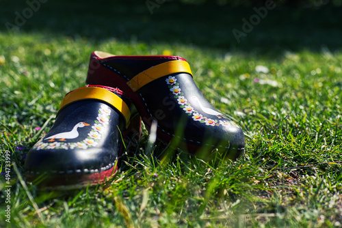 pair of shoes on grass