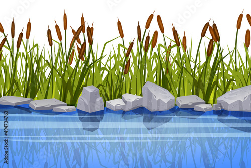 Swamp grass illustration, vector reed plant, river bank, gray stone, pond cattail shrub, lake bush. Landscape floral background, green blades, leaf vegetation. Swamp lake grass, reflection, rocks