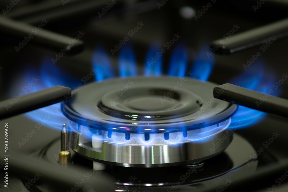 Natural gas burning a blue flames on black background. Gas in Europe. Gas crisis. Gas prices. Natural gas burning a blue flames on black background. Gas in Europe. Gas crisis. Gas prices.