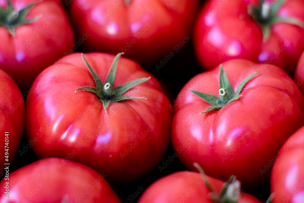 Obraz na płótnie Piękne świeże pomidory przygotowane do sprzedaży na targu / Beautiful fresh tomatoes prepared for sale at the market w salonie