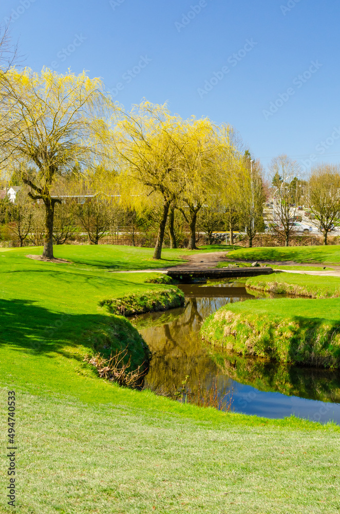 Golf course with gorgeous green and pond.