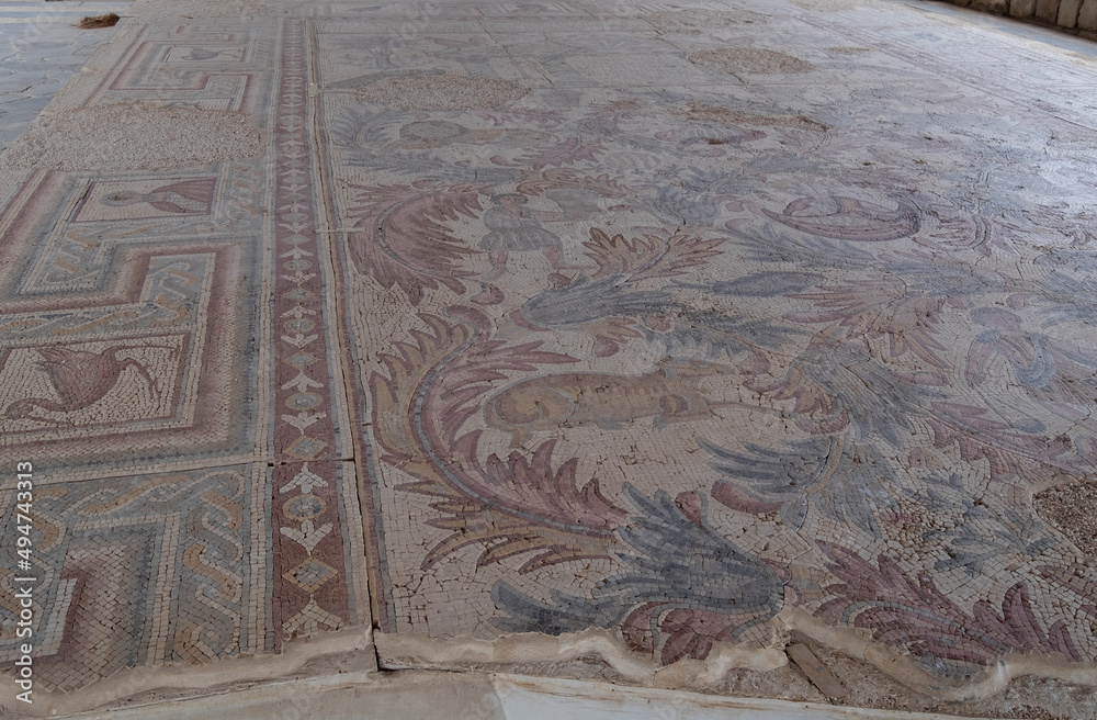 Mount Nebo mosaic, Jordan, Middle East, Jordan