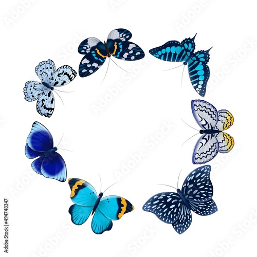 frame of blue, gray, orange, brown butterflies set isolated on white background