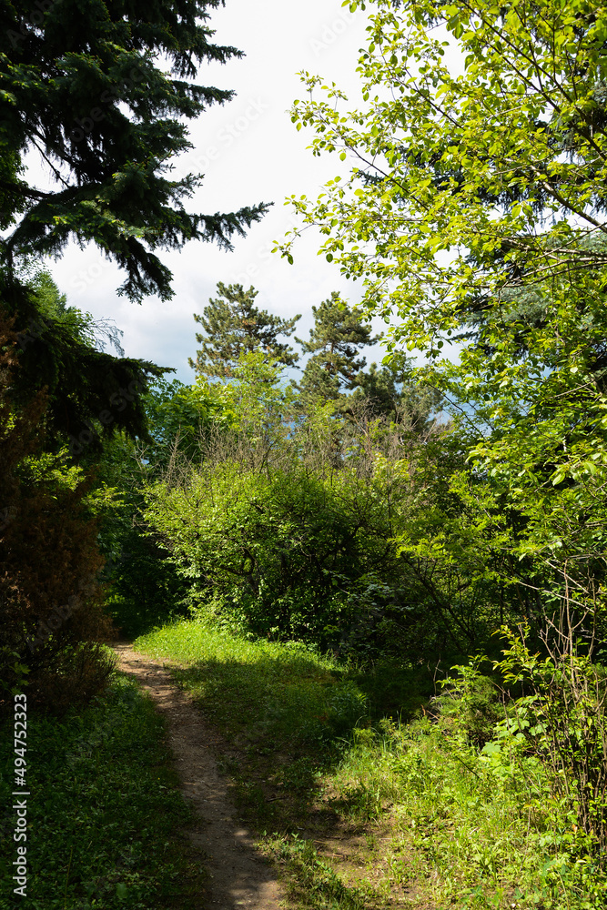 Walkway in the botanical garden, Vanadzor Walkway in the botanical garden, Vanadzor