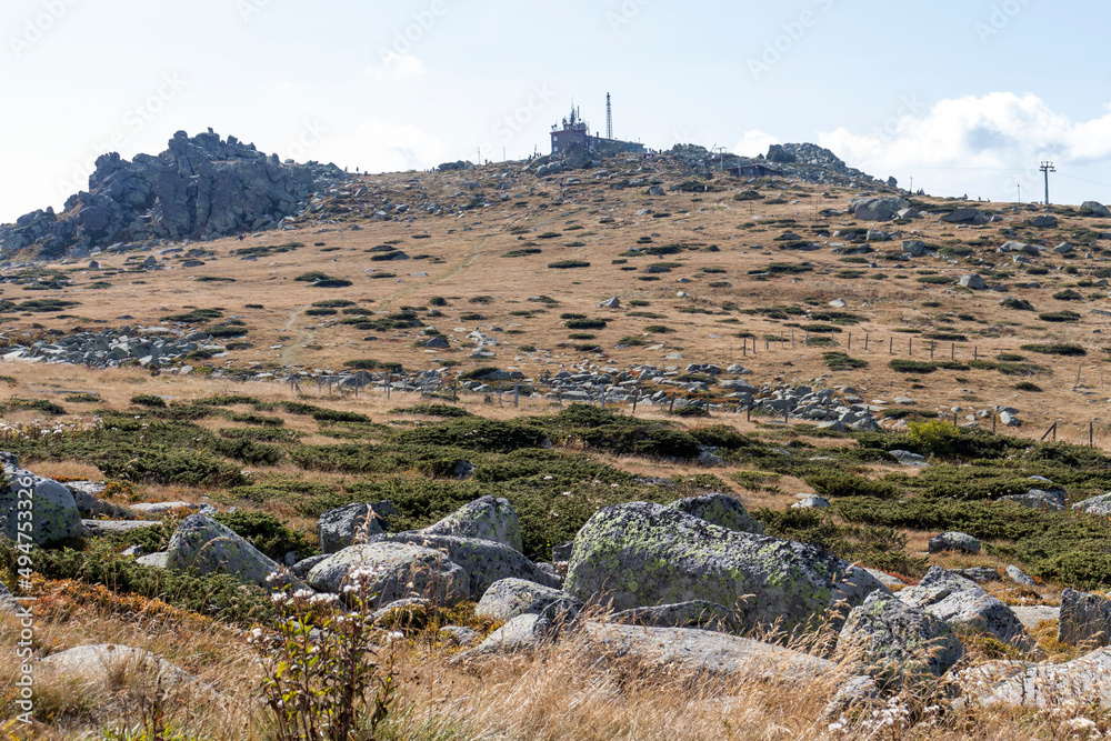 Fototapeta premium Autumn Landscape Vitosha Mountain, Bulgaria