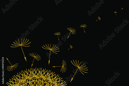 Gold dandelion and flying seeds. Spring wild flower. Vintage Art Deco style vector illustration on black background