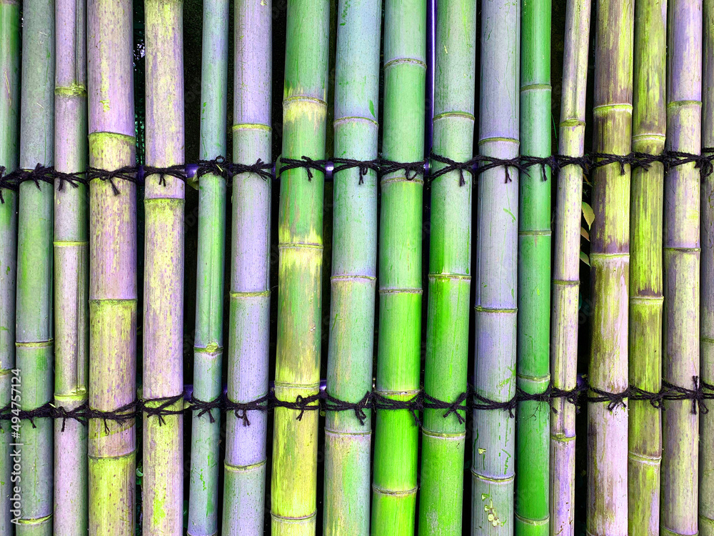 日本庭園　竹の壁　web素材　テクスチャJapanese garden bamboo wall web material texture