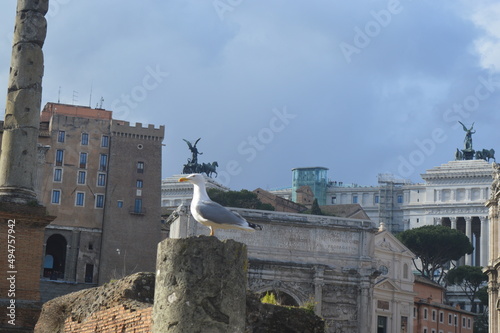 Forum Romanum, Rome