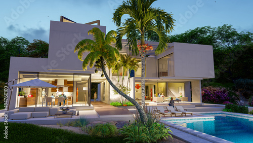 Luxury modern  villa with p...