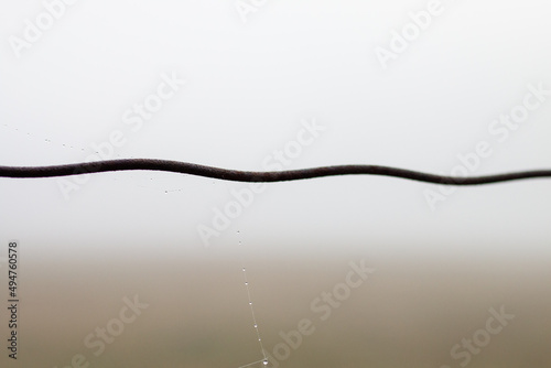 Obraz na plátně A thin strand of web delicately holds across a wire fence that is dripping with water drops and dew on an early morning