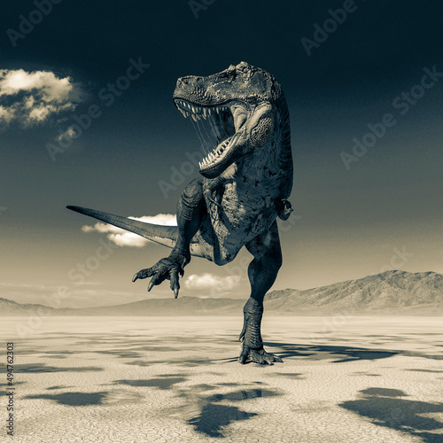 tyrannosaurus rex is looking fot the others on desert © DM7