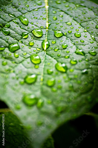 Tag nach dem Regen