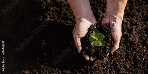 human hand planting a sapling The concept of preserving nature for the future of humanity. to reduce the problem of global warming pollution , the idea of ​​planting trees