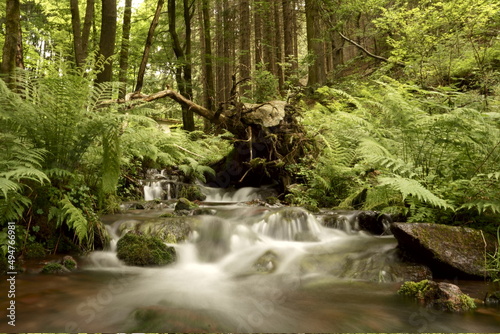 Long exposure of tiny creek.