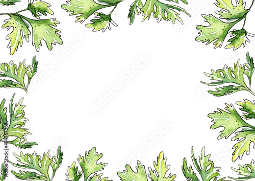 Parsley leaf frame . Green watercolor illustration on a white background.