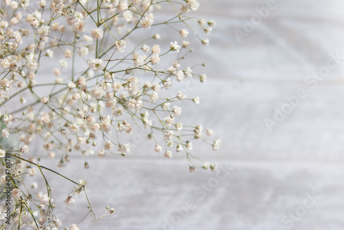 Konstfotografi Baby Gypsophila Breath Flowers, Light, Airy Small White Flowers Selective Focus