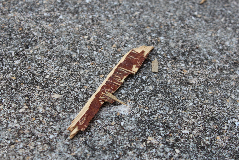 Broken pieces of wood on the cement Broken pieces of wood on the cement