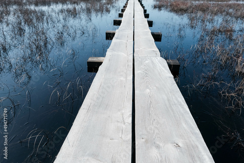 Tuhu nature Tuhu nature walking trail. wooden footbridges in the swamp. Estonia. photo