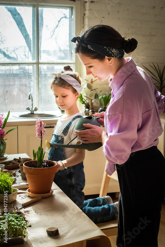 mother, daughter watering seedlings. hyacinths, spring flowers. take care of houseplants together