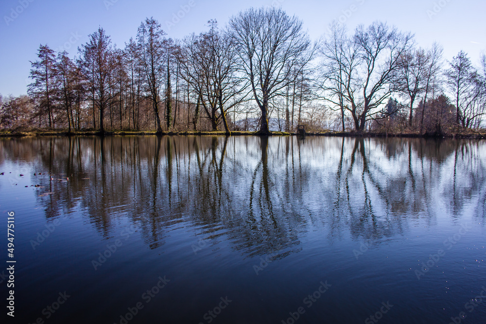 Baumspiegelung am tiefblauen ruhigen See