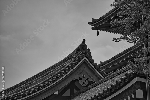 Tokyo temple roof