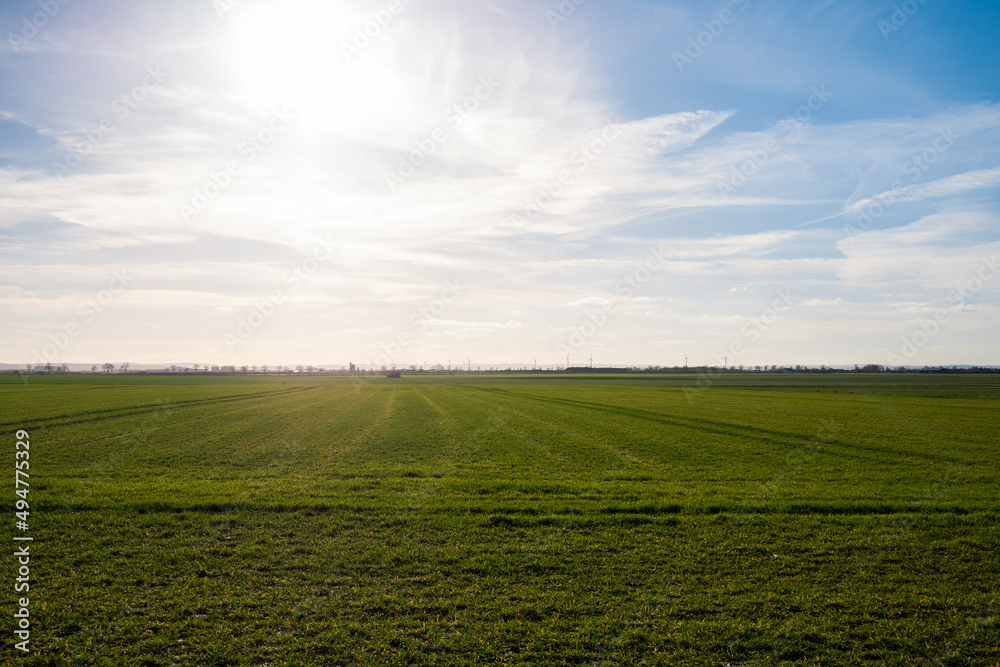Grünes Feld mit einem blauen Himmel. Grünes Feld mit einem blauen Himmel.