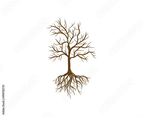 dry tree vector hand drawing, isolated on white