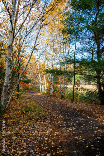 Fototapeta Naklejka Na Ścianę i Meble -  Autumn in Ontario, Canada