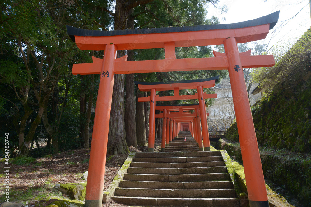 城下町出石　稲荷神社参道の鳥居　兵庫県豊岡市