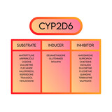 CYP2D6 Cytochrome p450 enzyme pharmaceutical substrates, inhibitors and inducers examples, for pharmacology, medicine, biochemistry education.
