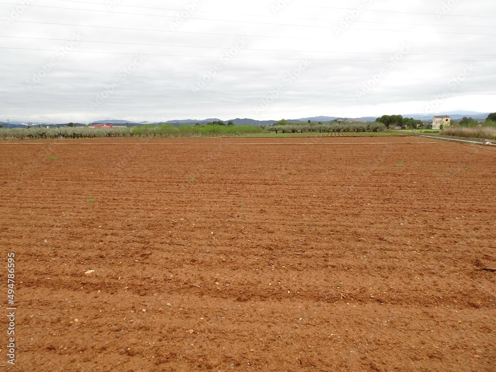 Agricultural Farming Field, Valencia, Spain