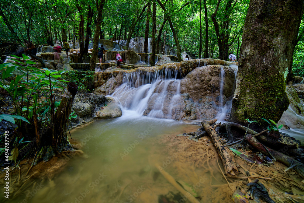 Naklejka premium waterfall in the forest