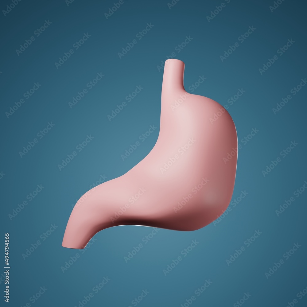 Fototapeta premium 3Dレンダリング/3Dイラスト)デフォルメされた胃 正方形バナー 内臓 人体 健康 立体的