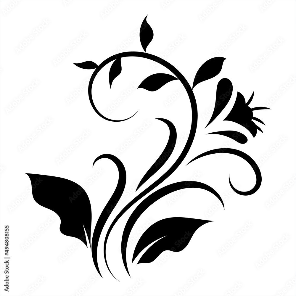 Obraz premium Floral Ornamental Borders Element