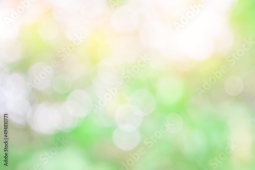 Nature blur green leaf and light abstract background. Sunlight bokeh on green leaf tree foliage in a park, blurred leaves forest sunny day in spring or summer, blurred nature pastel background