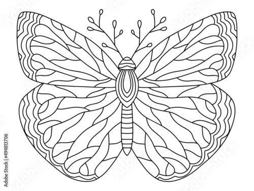 Hand-drawn fantasy butterfly coloring page for adults vector illustration. Funny decorative bug horizontal printable worksheet. Natural creature abstract colouring page vector